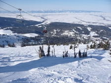 Jackson Hole - one huge ski area