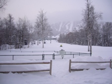 Hey, all this white stuff wasn't here last night.