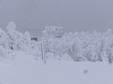 What planet are we on?