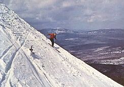 I think I can.  I think I can.