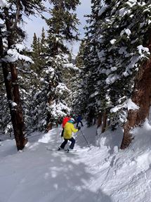 Union Meadows - Blue Signs