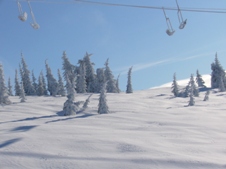 Oh yeah - lots of powder